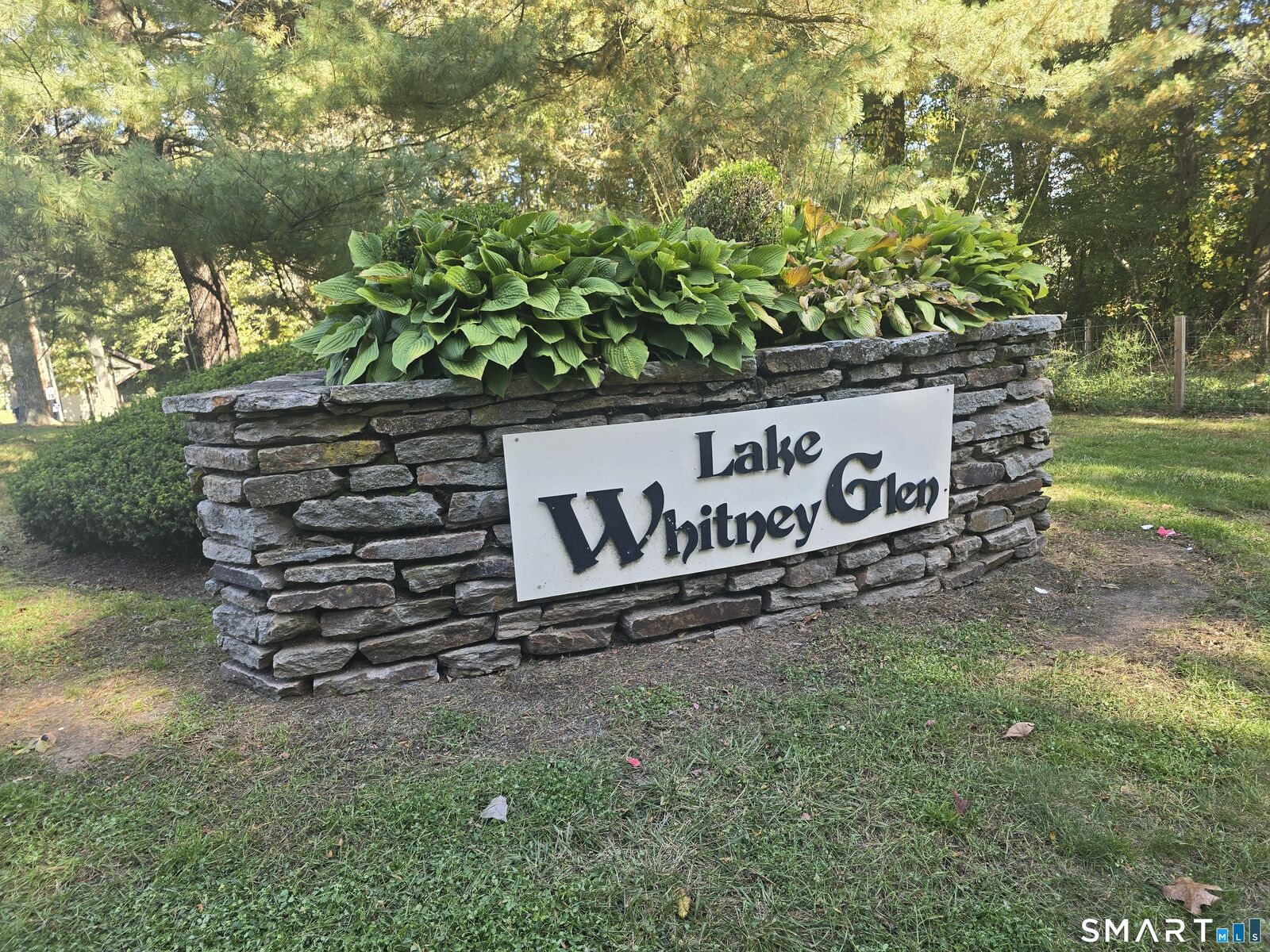 Property Photo: 365 Mather Street 208 CT 06514