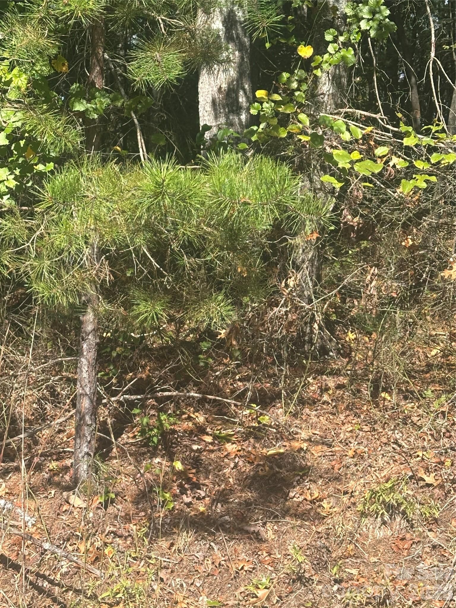 Property Photo:  Lot 6 Saint Andrews Drive Lot 6  NC 28659 