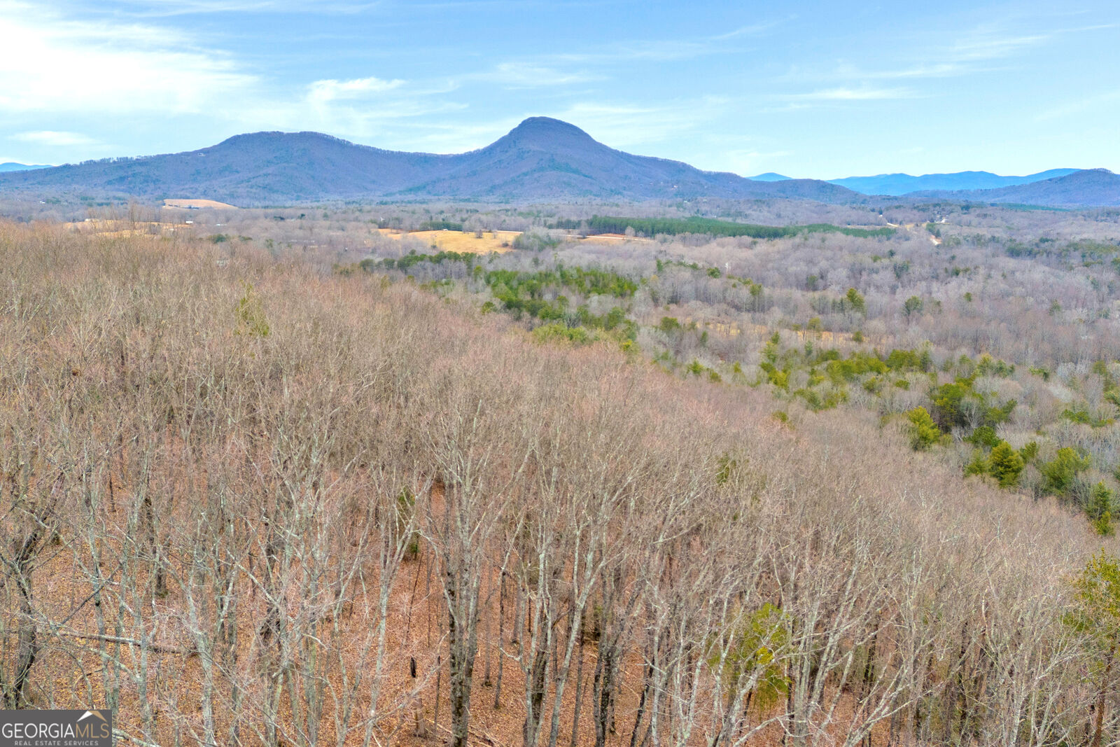 Property Photo:  0 Douglas Fir Drive  GA 30528 