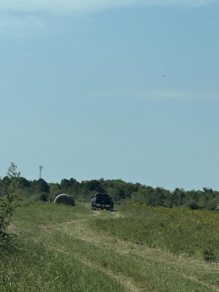 Property Photo: 0 County Road 491S TX 77535