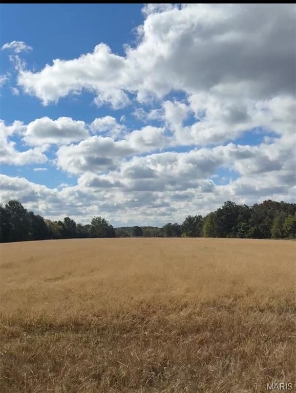 Property Photo:  1617 Sneak Road  MO 63348 