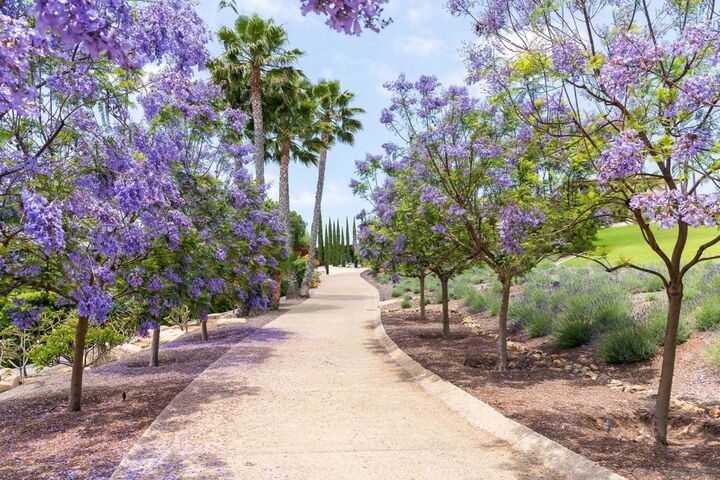 Property Photo:  18245 Paseo Victoria  CA 92067 