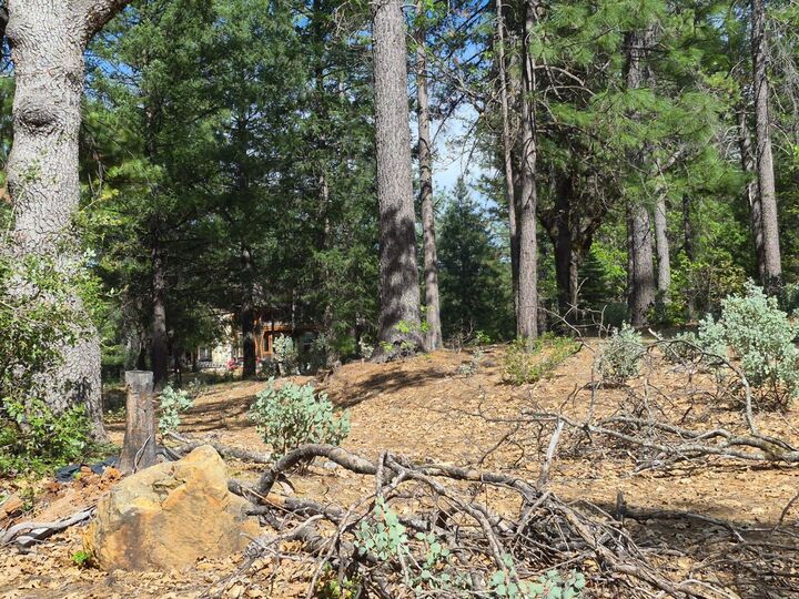 Property Photo:  46 Ringtail Road  CA 95634 