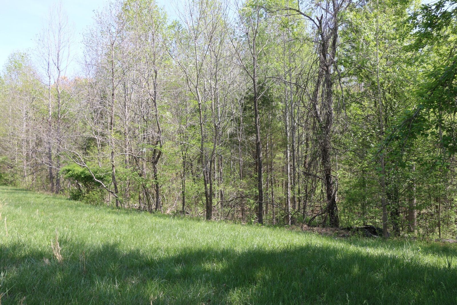 Property Photo:  820 New Rd  TN 37040 