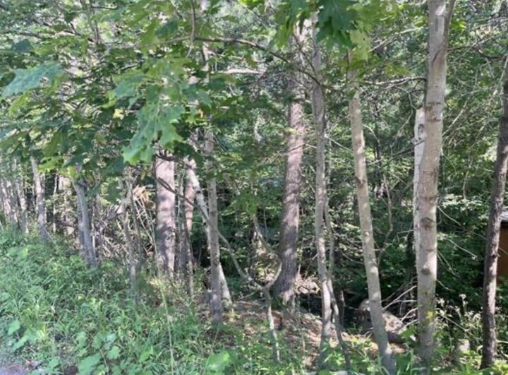 Property Photo:  Lot C6c Purcells Cove Road  NS B3P 1C4 