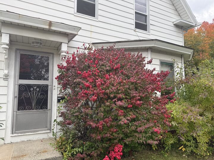 Property Photo:  84 Albee St 2  MA 01420 