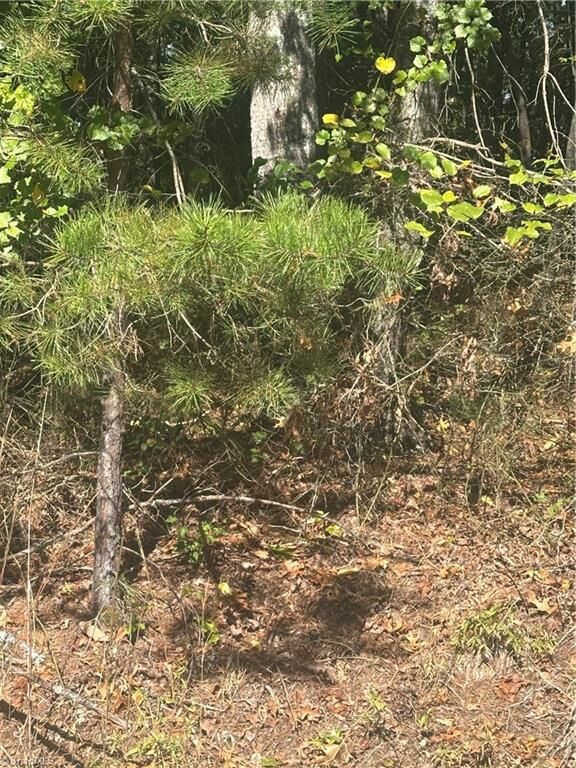 Property Photo:  Lot 6 Saint Andrews Drive  NC 28659 