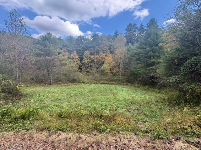 Property Photo: Tbd Caseys Branch Road NC 28665