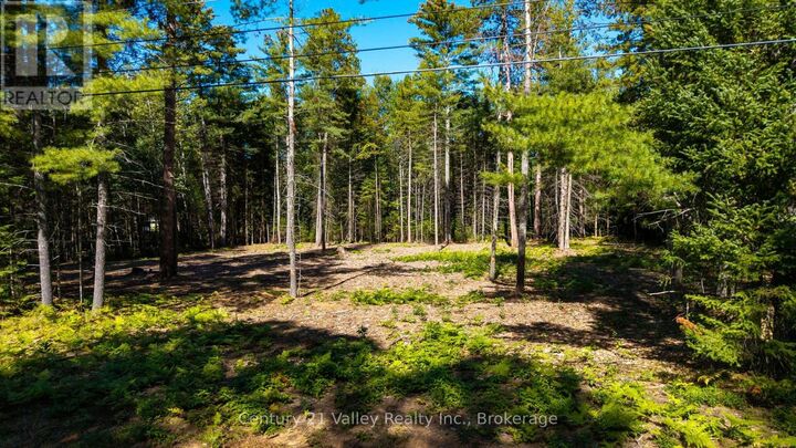 Property Photo:  536 Pine Street  ON K0J 2R0 