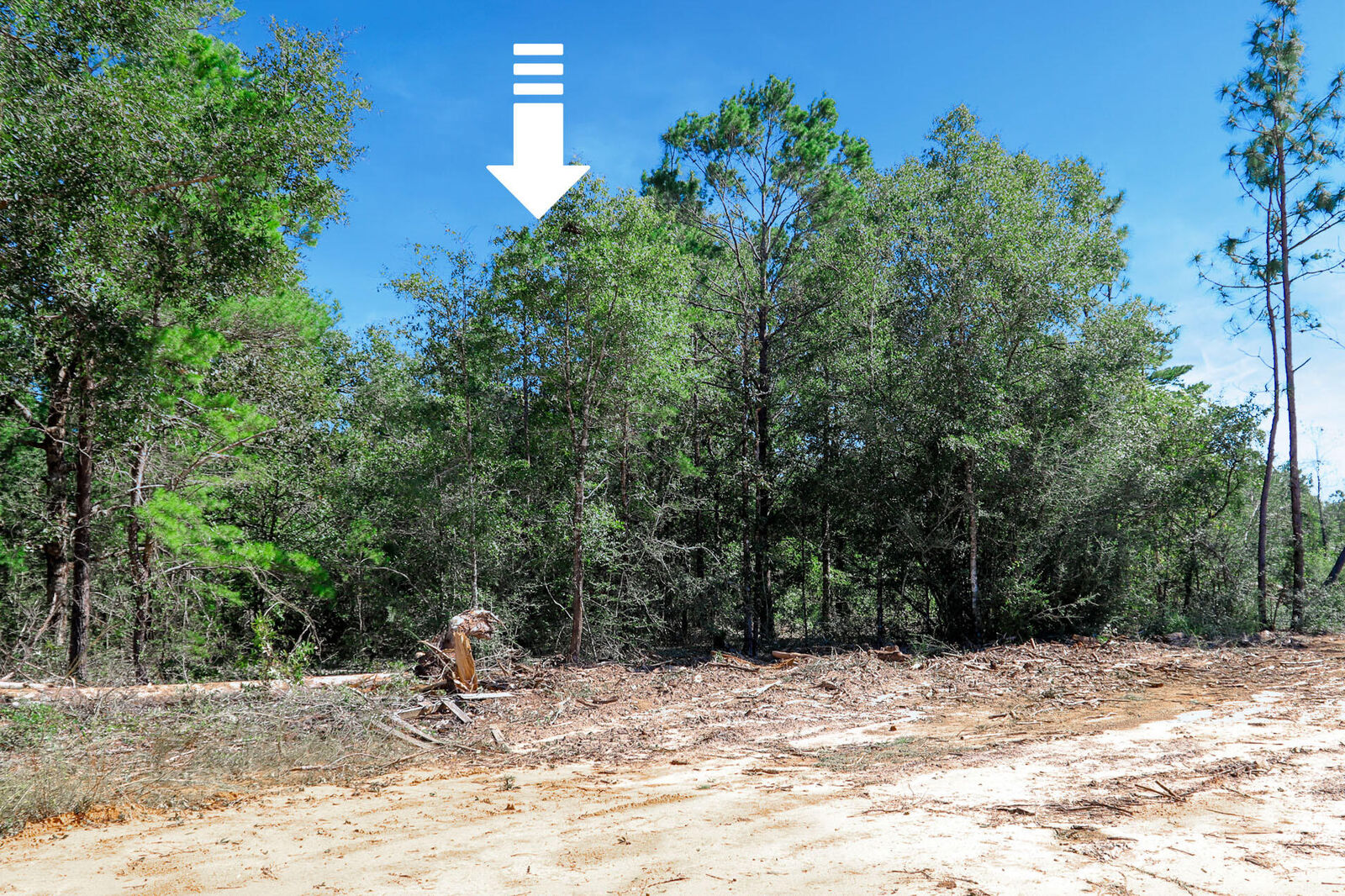 Property Photo:  Lot 9 Leonardo Court  FL 32433 