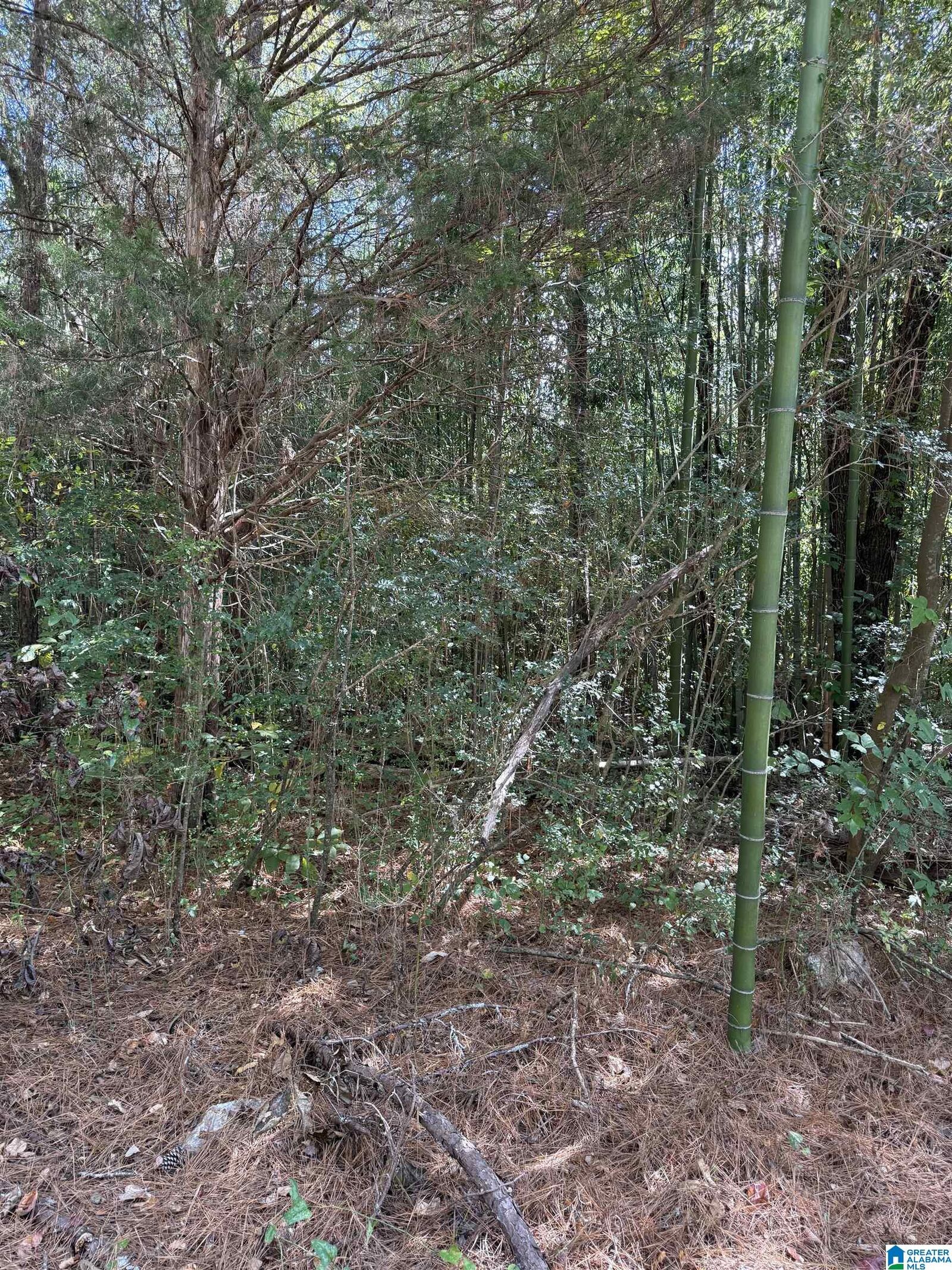 Property Photo:  Skyball Road 0  AL 35079 