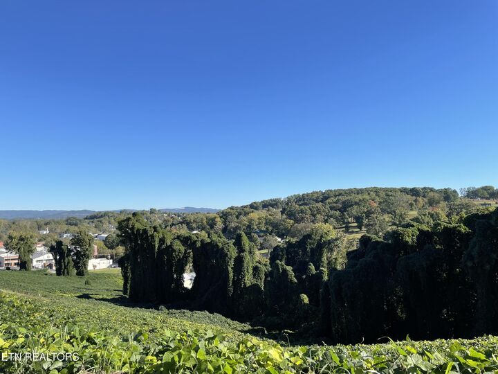 Property Photo:  Lot 69 N Henry St  TN 37814 