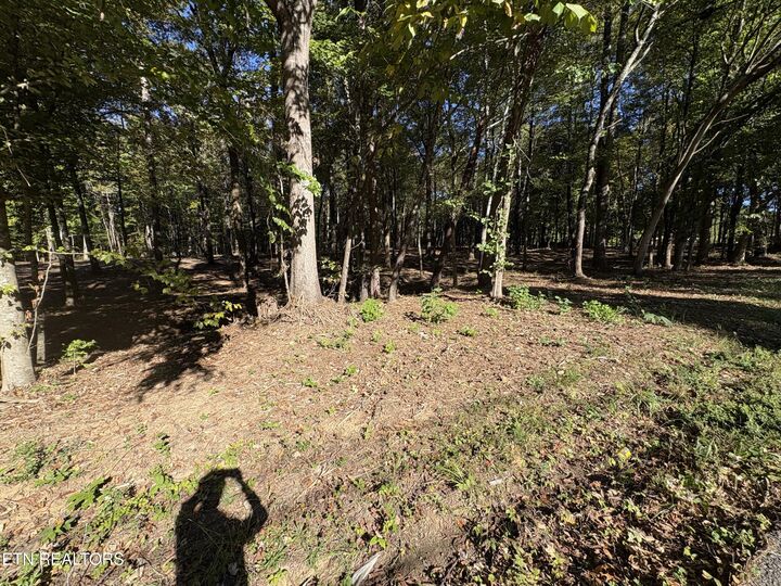 Property Photo:  0 Town Creek Rd  TN 37772 