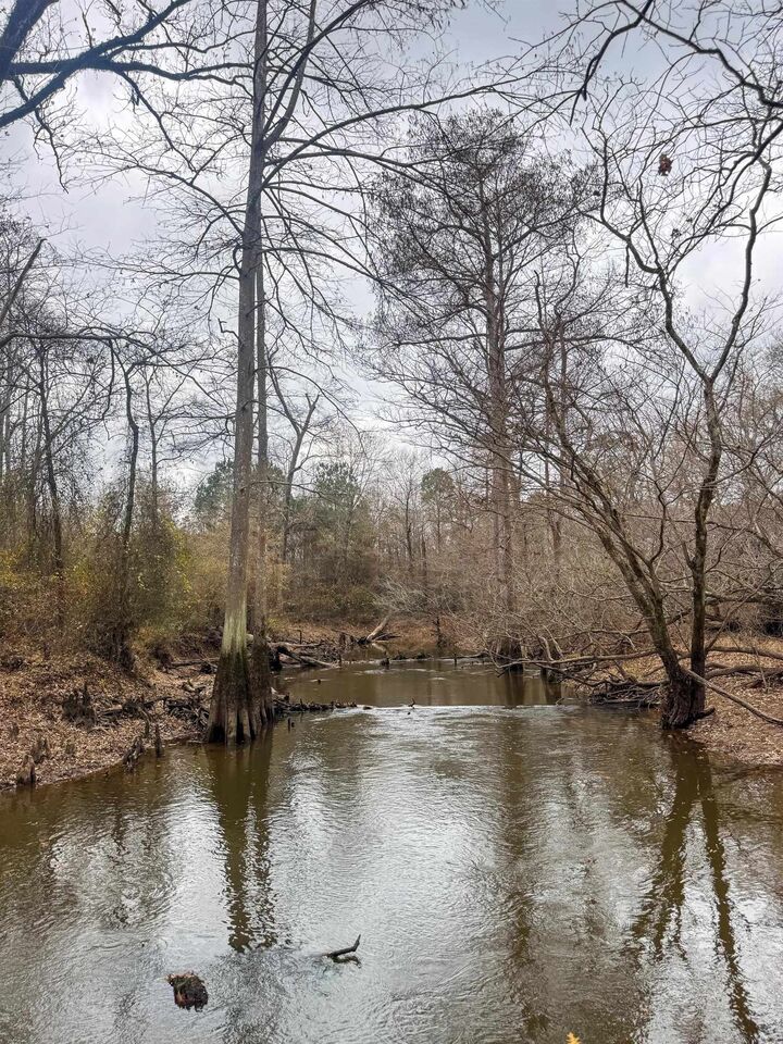 Property Photo:  0204 Easement Rd Off Cr 1619  TX 75563 