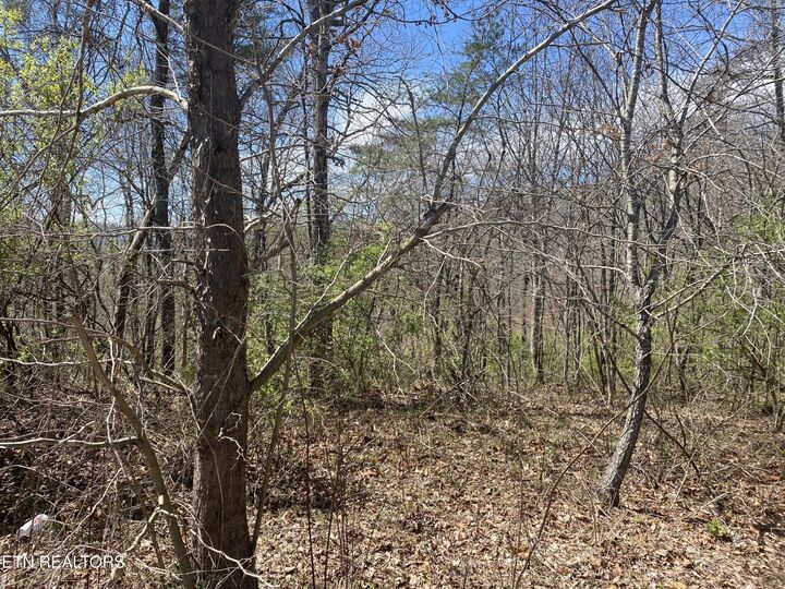 Property Photo:  5 Hwy 127 North  TN 38555 