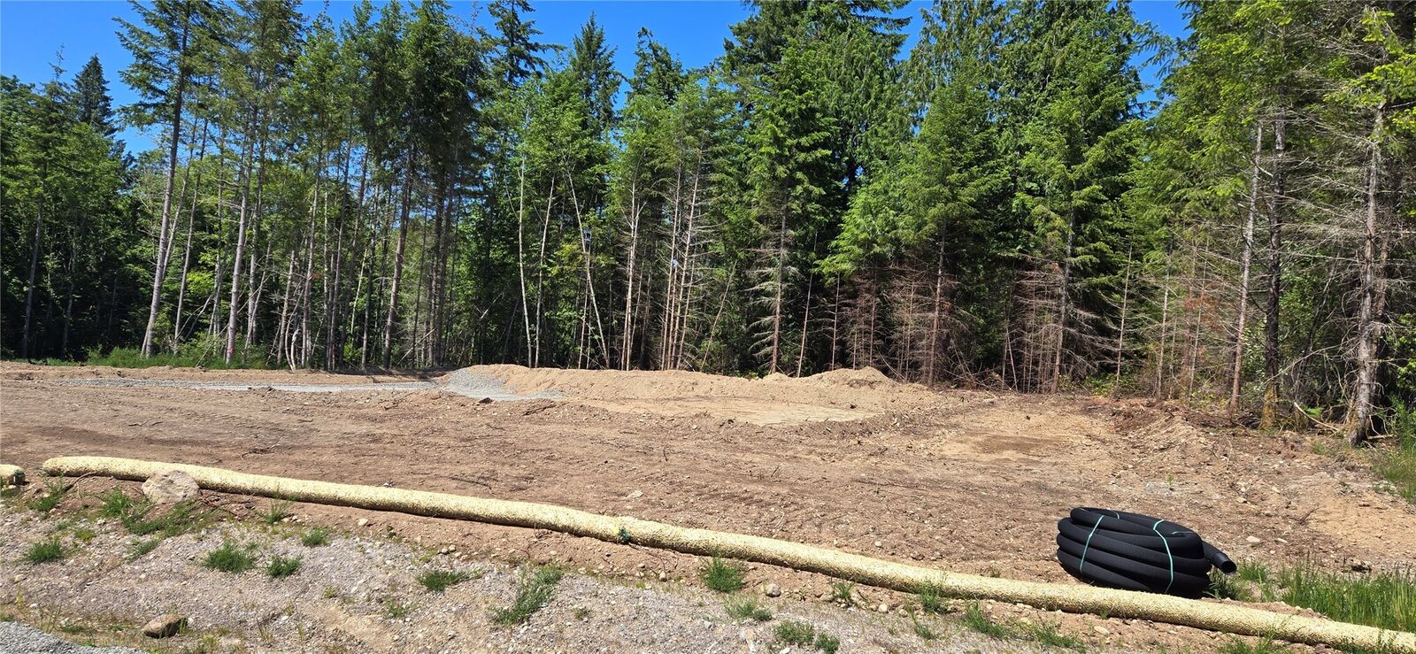 Property Photo:  6520  Shadow Creek Lane NE  WA 98516 