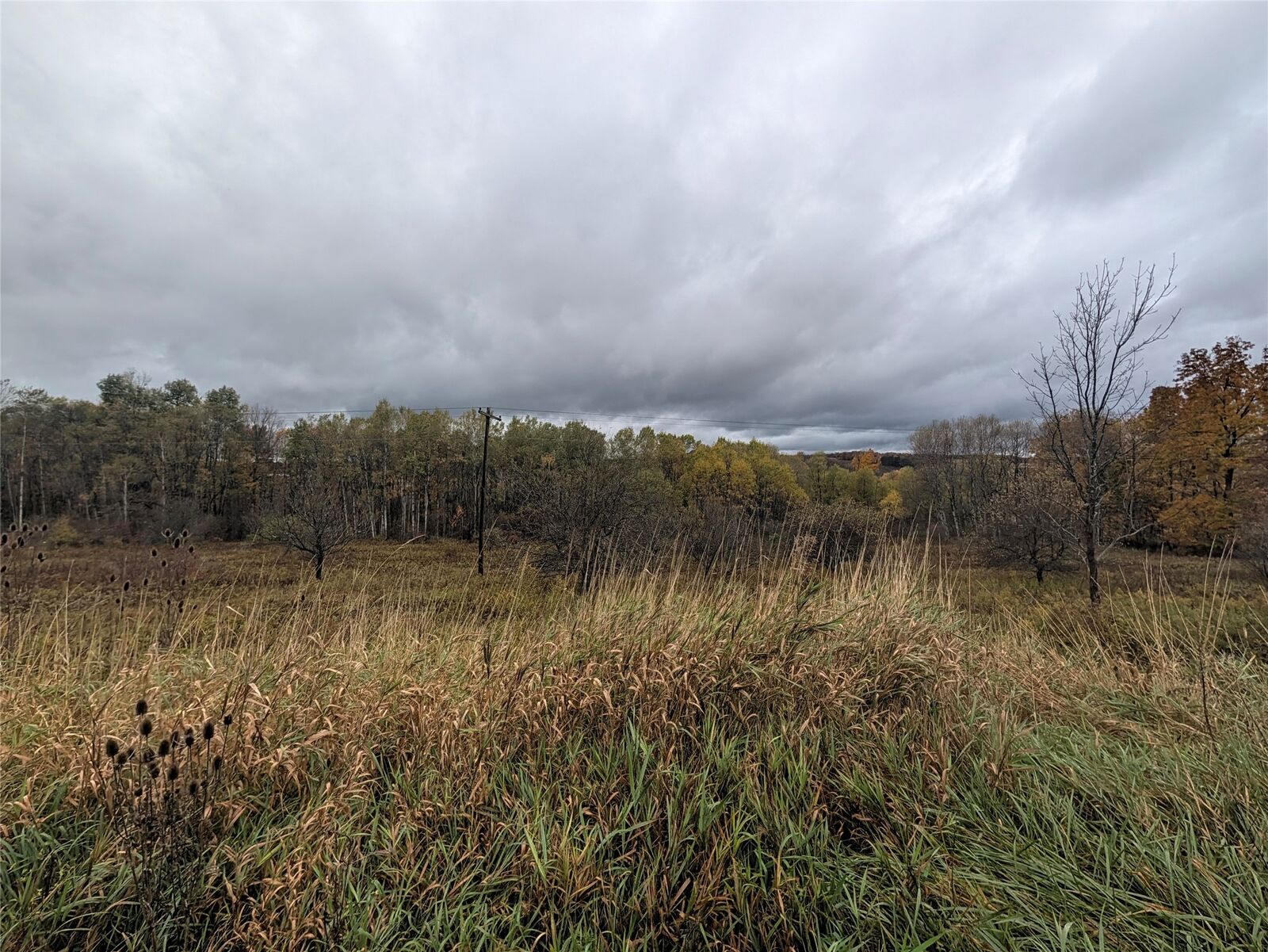 Property Photo: 6 Route PA 16405