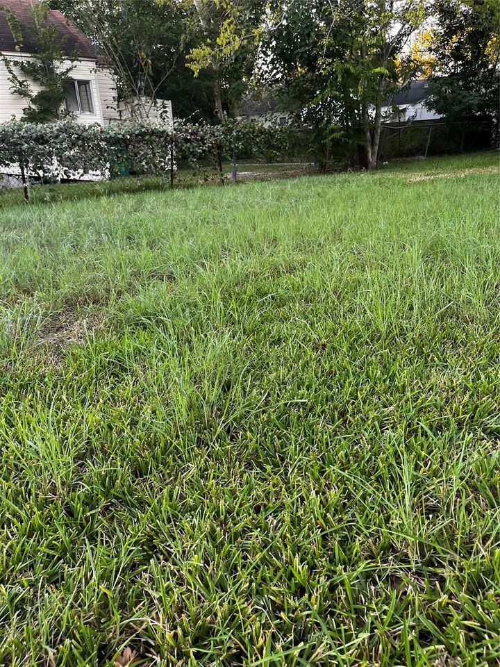 Property Photo: 806 E Fayle St TX 77520