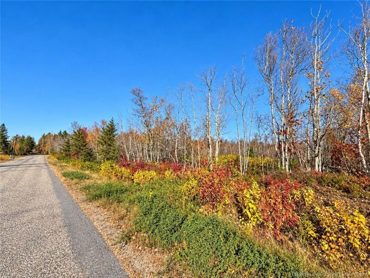 Property Photo:  / Rue Omer  NB E1X 3X1 