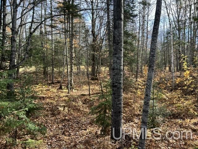Property Photo:  Parcel 4 Crooked Road  MI 49916 