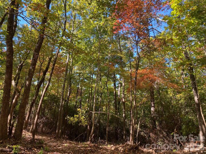 Property Photo:  24 Oak Brook West Lane 24  NC 28712 