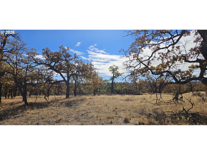 Property Photo:  Ridgetop Rd N  OR 97021 