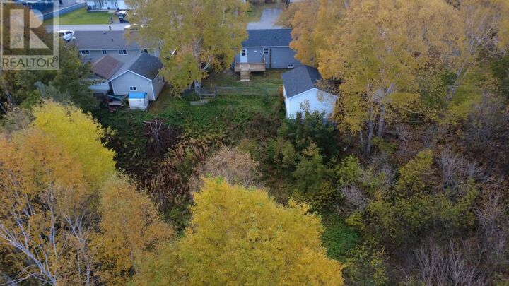 Property Photo:  14 Fifth Avenue  NL A0L 1K0 