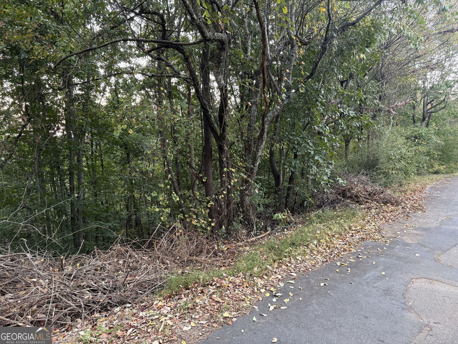Property Photo: 0 Grandview Circle GA 30531
