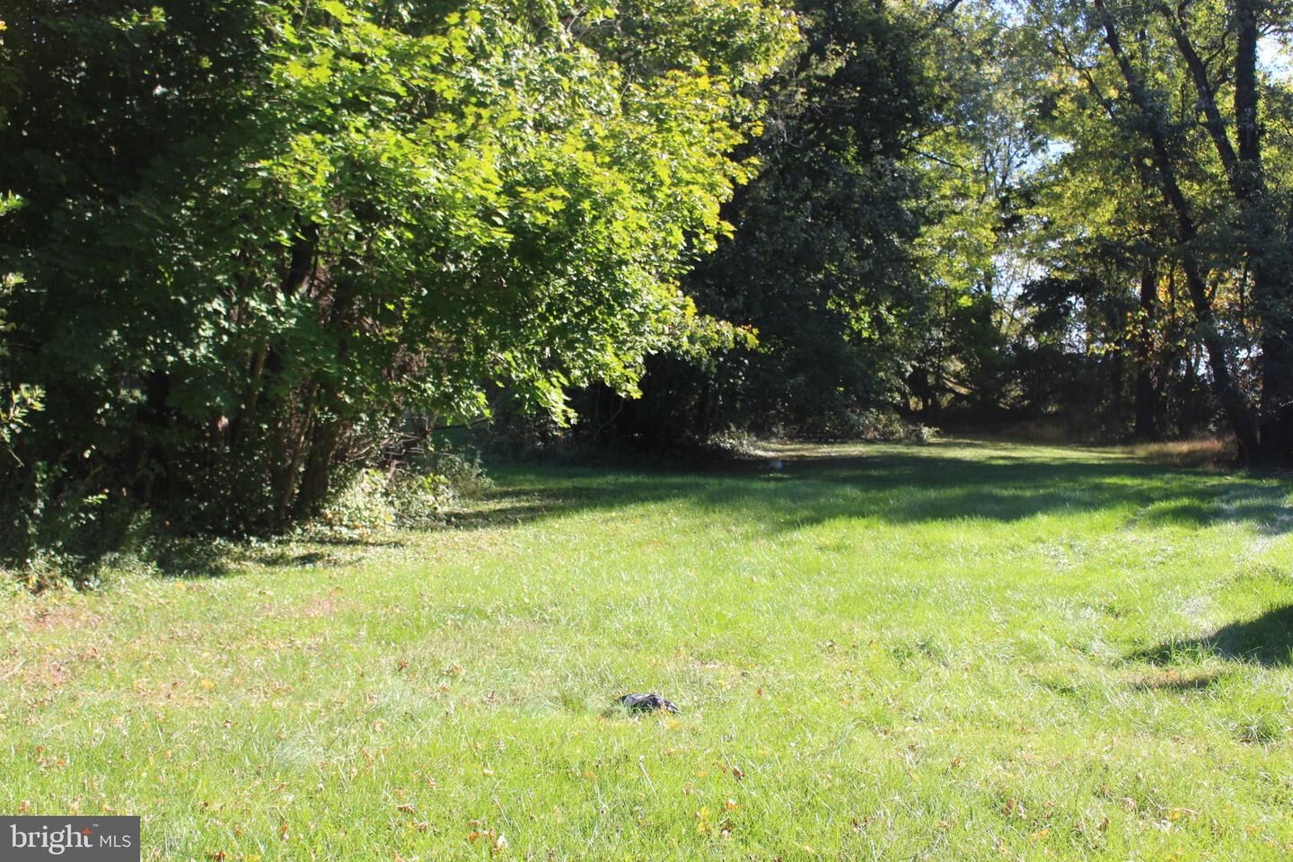 Property Photo: 3711 Berkley Road MD 21034