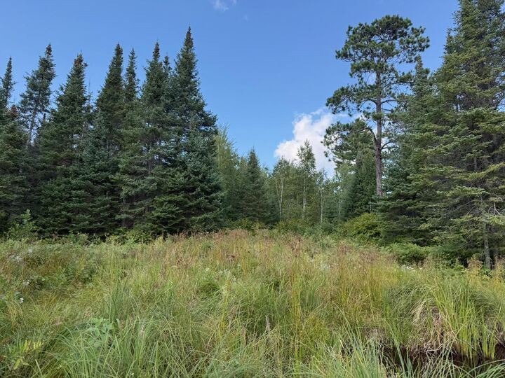 Property Photo: Xyz No Name Road MN 55705