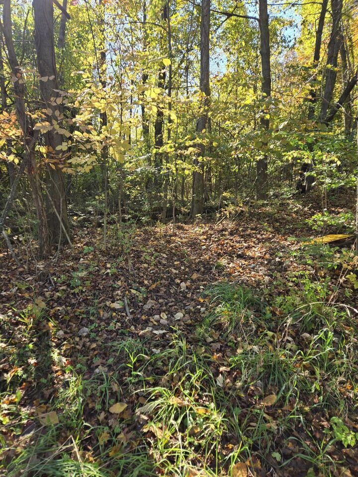 Property Photo: 116 W Bacon Street MI 49242