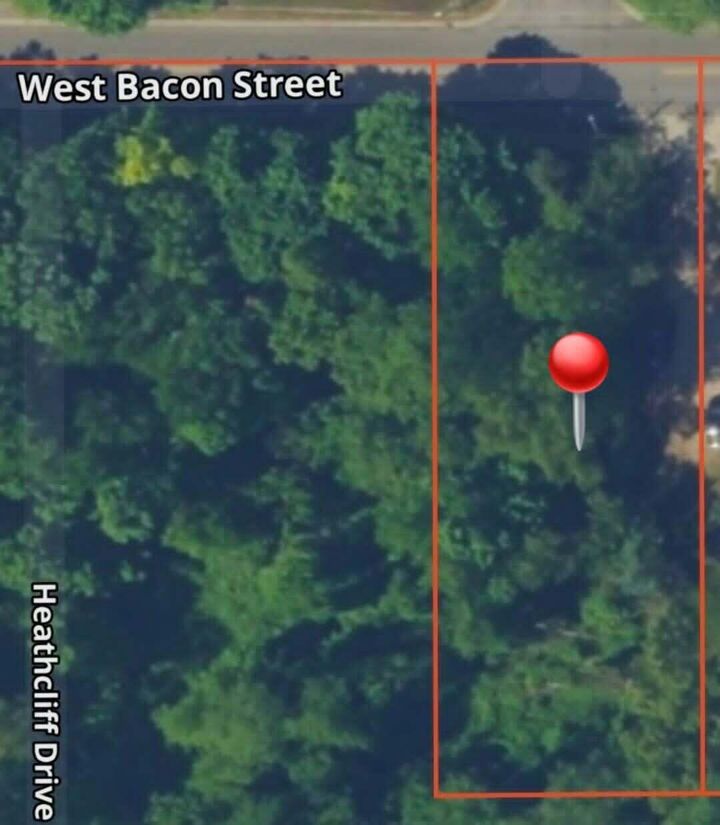 Property Photo:  116 W Bacon Street  MI 49242 