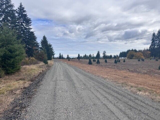 Property Photo: 0 Tennessee Road Lot 4 WA 98596