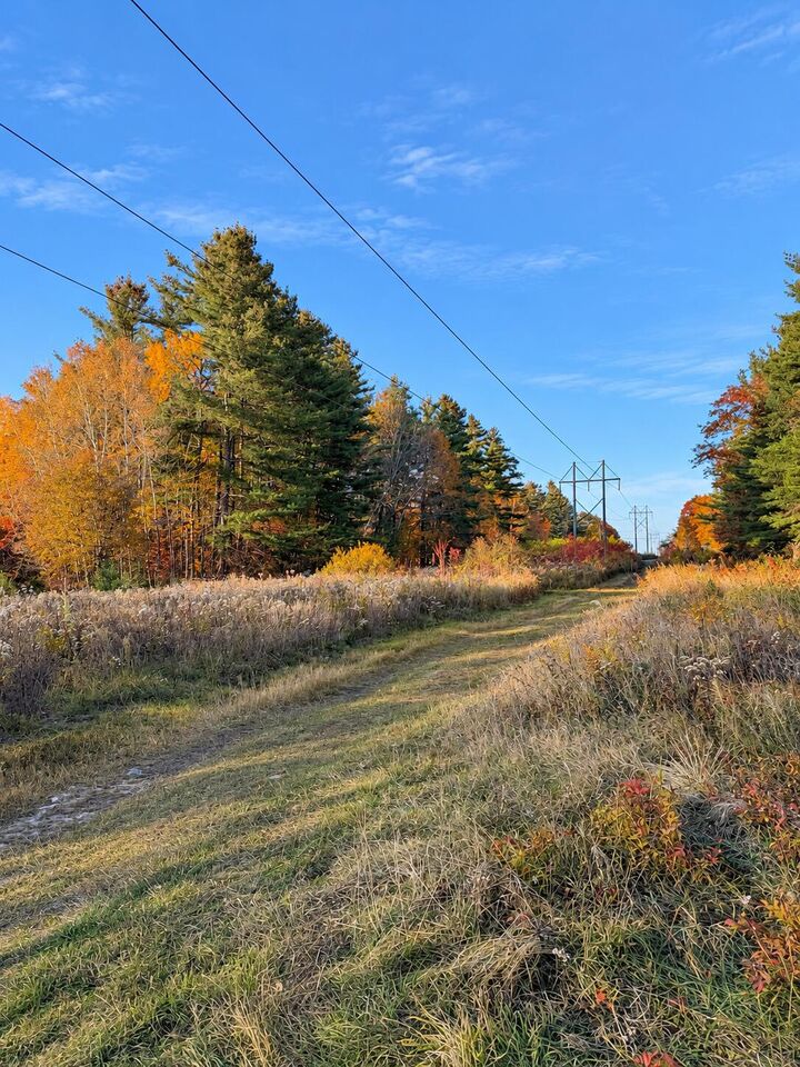 Property Photo:  0 Seymour Road  NY 12992 