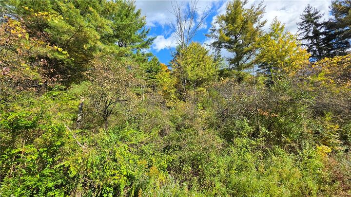 Property Photo: 107 Ellis Hollow Creek Road NY 14850