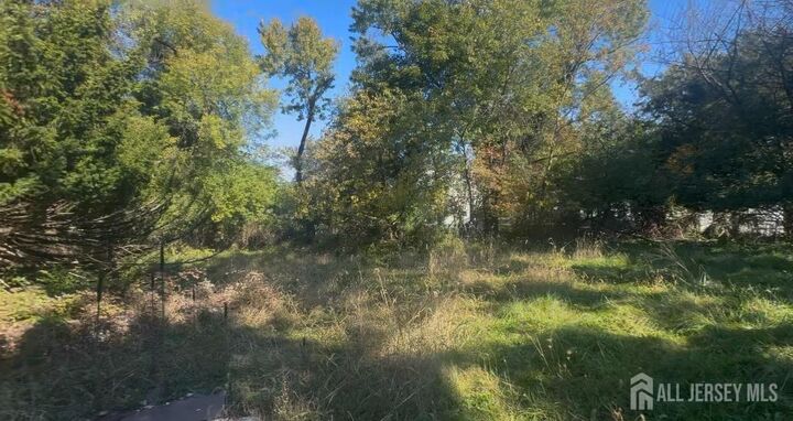 Property Photo:  173 N Hillcrest Avenue  NJ 08873 