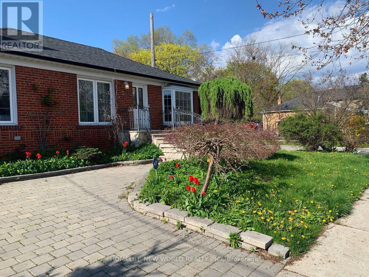 Property Photo: 374 Horsham Avenue ON M2R 1G9