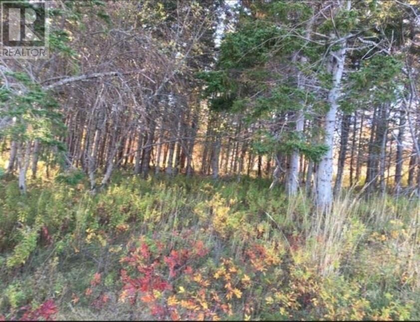 Property Photo: Lot 0 Kempt Head Road NS B1Y 2P8