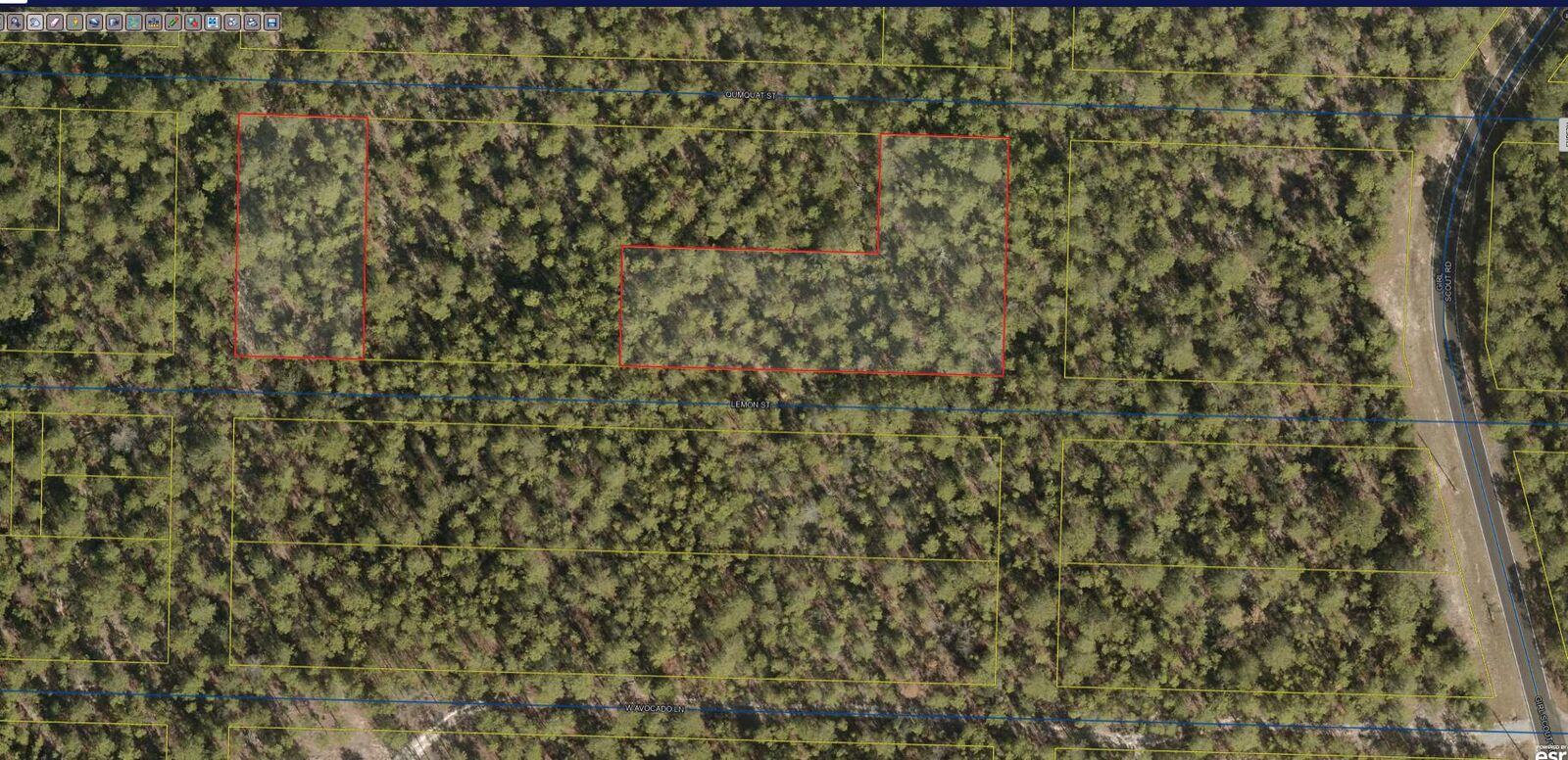 Property Photo:  1.386 Ac. Lots 25 To 48 Blk 8 Lemon St  FL 32433 