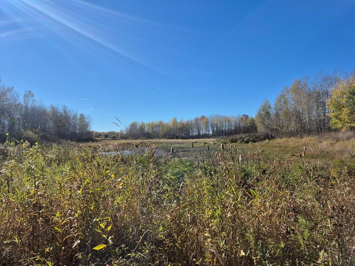 Property Photo: Tbd Henry Road MN 55735