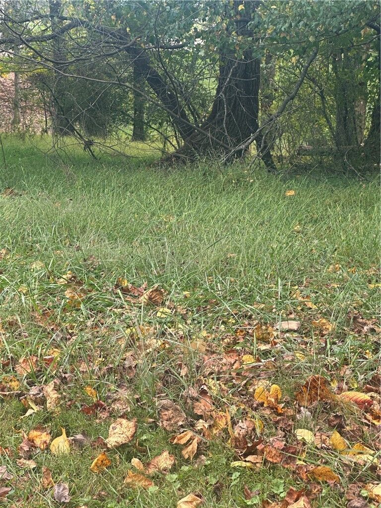 Property Photo: Lot 121 Friar Court NC 28659