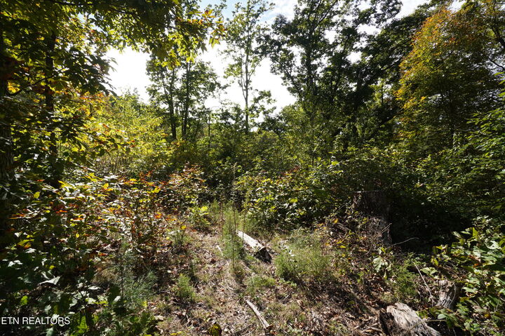 Property Photo: Brotherton Rd TN 37760