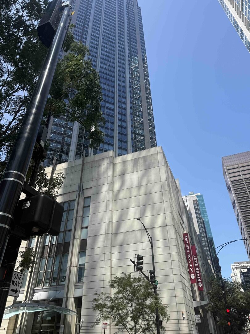 Property Photo:  512 N McClurg Court 4003  IL 60611 