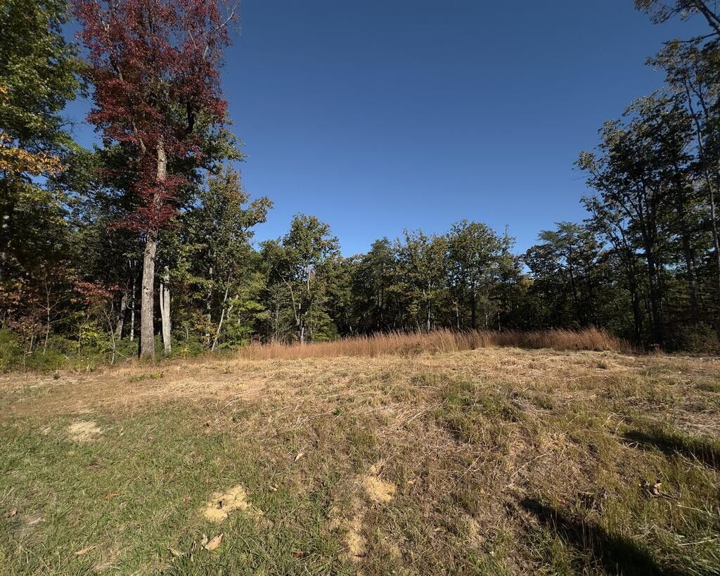 Property Photo:  117 Fox Run Ct  TN 38574 