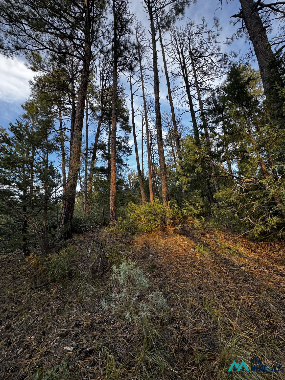 Property Photo:  37 Huff Ave  NM 88350 