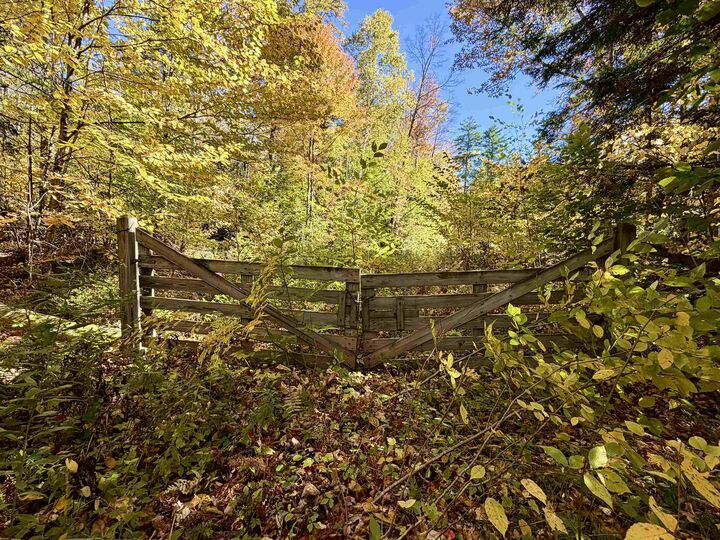 Property Photo:  Lot 64 Piermont Heights Road  NH 03777 