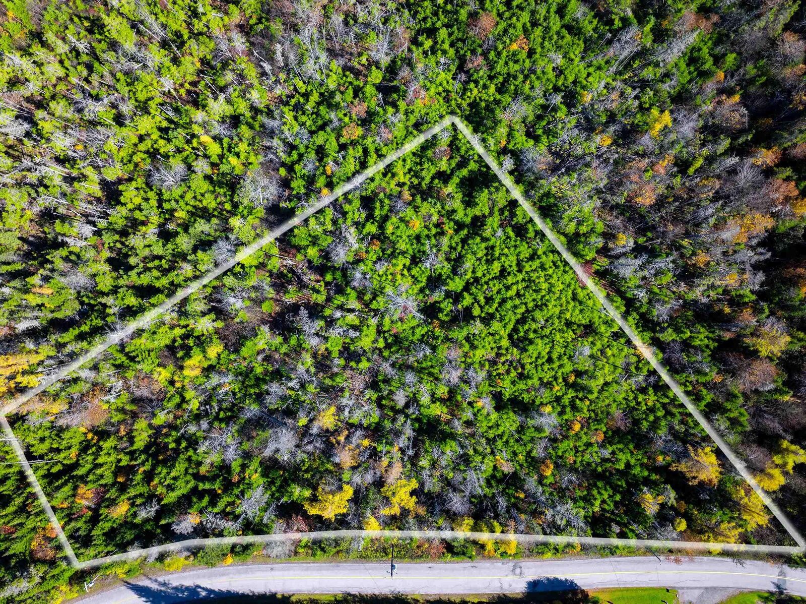 Property Photo:  Lot Lower Lakeville Road  NS B0J 2L0 