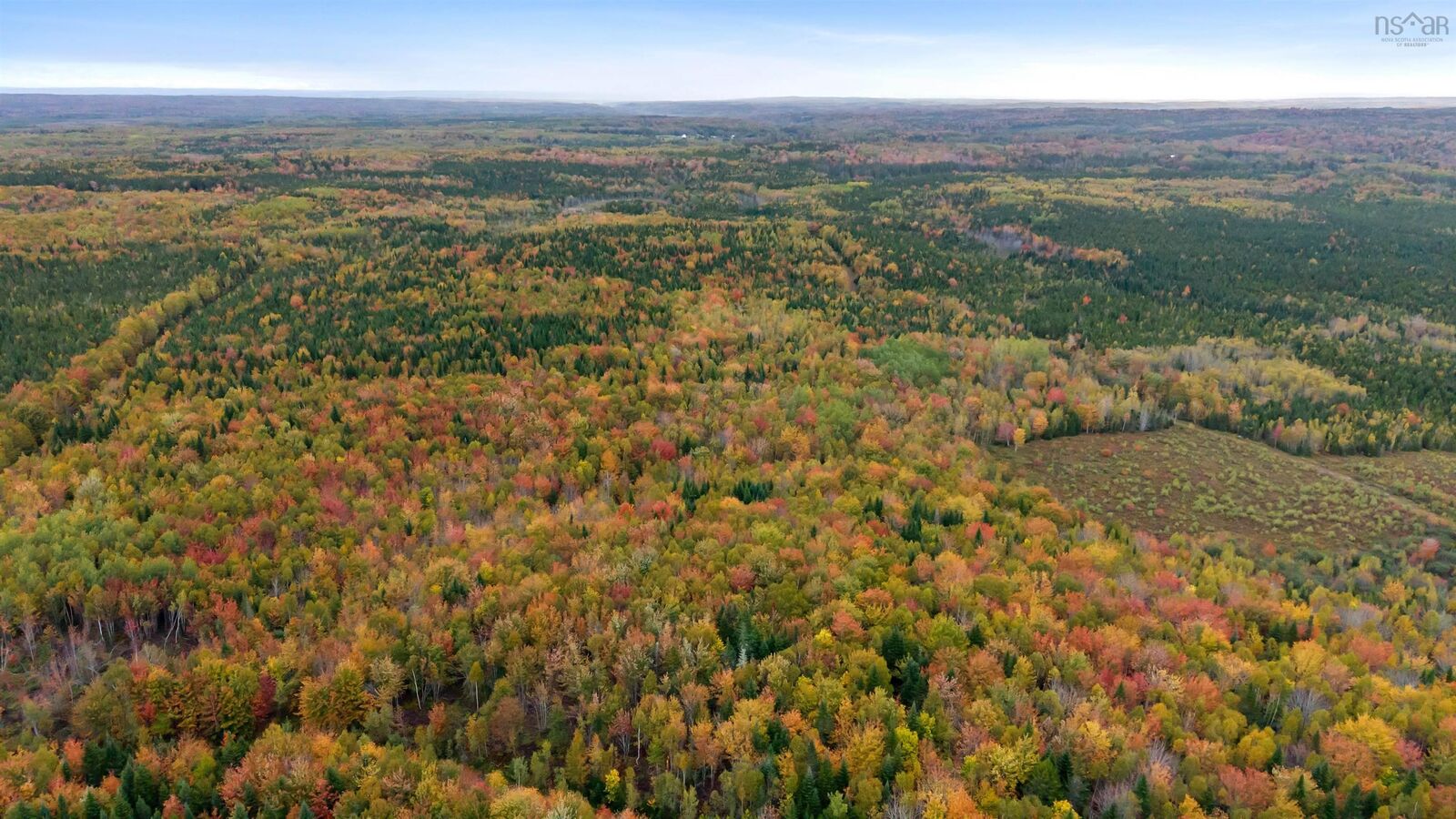 Property Photo:  Lot 2 Highway 236  NS B0N 1T0 