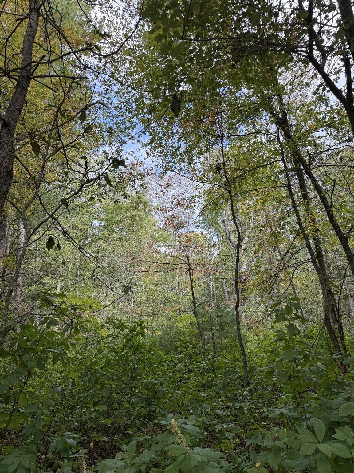 Property Photo:  4 Chace Drive  MA 02347 