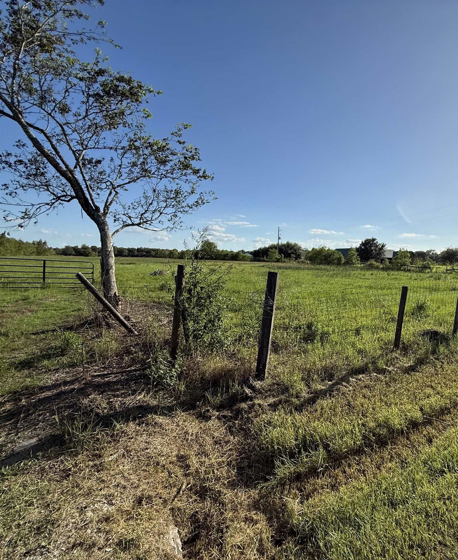 Property Photo:  8403 Kidd Road  TX 77713-3063 